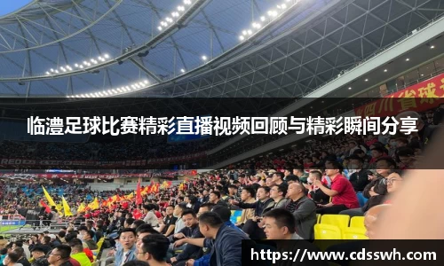 先锋2娱乐