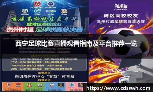 先锋2娱乐