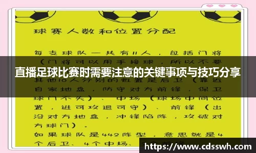 先锋2娱乐